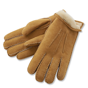 Winter Gloves